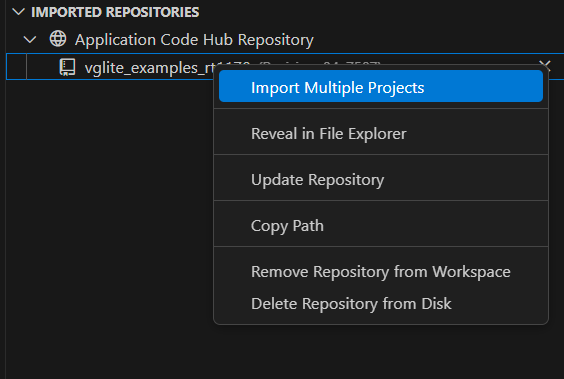 Application Code Hub repository visible in imported repository and its contextual menu