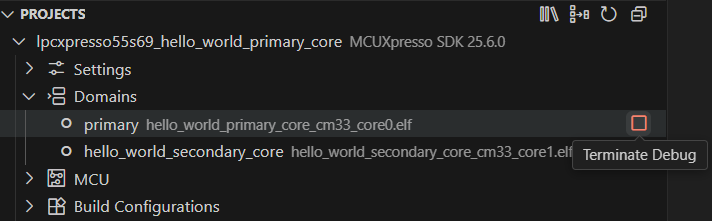 Multicore Debug Terminate Domain