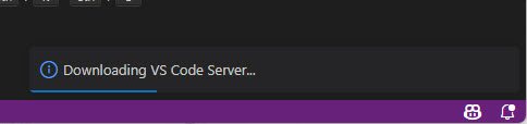 Downloading VS Code Server