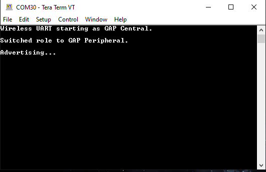 Tera Term console