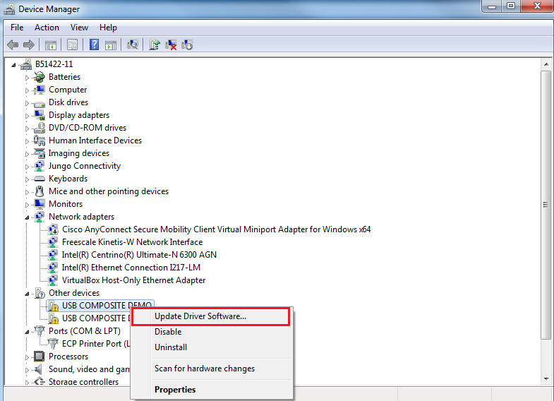 dev_composite_cdc_vcom_cdc_vcom_lite_bm — MCUXpresso SDK Documentation