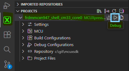 Debug Shell Example
